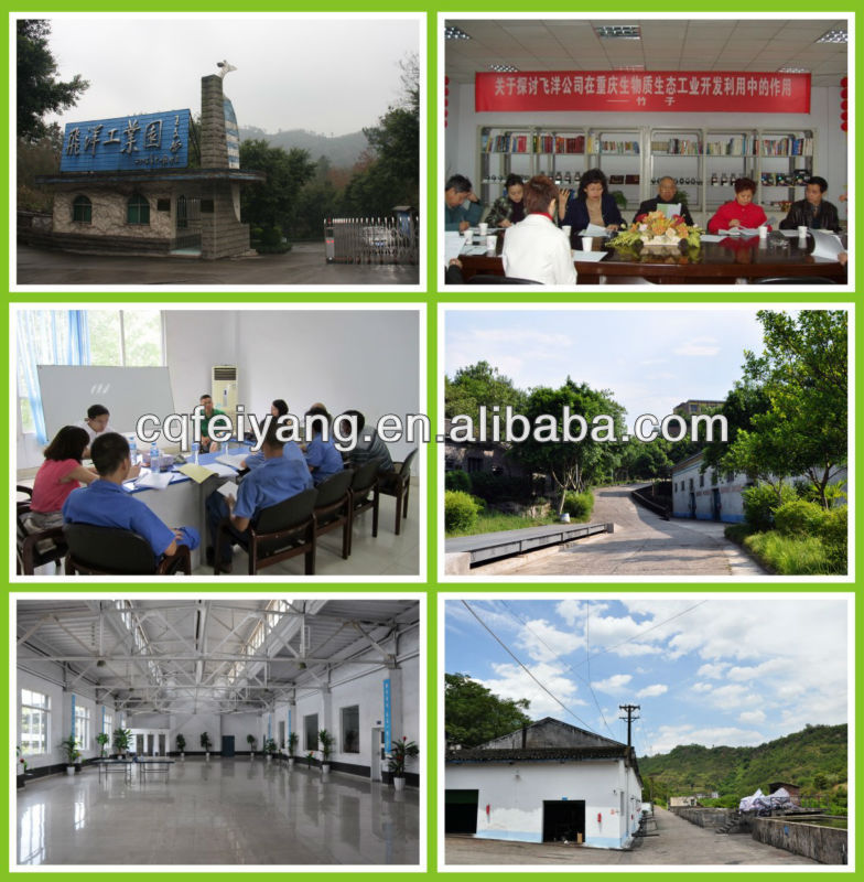 Coconut Shell based granular Activated Carbon for water purification