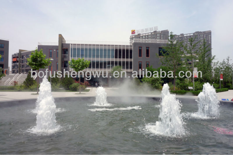 Pure ginseng extract/bulk ginseng extract