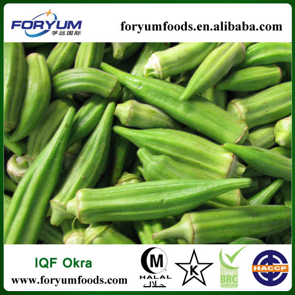 New Crop okra fruit