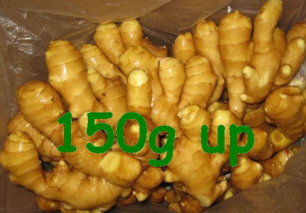 fully air dry ginger supplier
