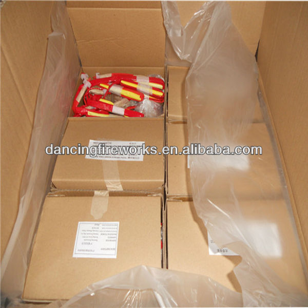 Packing-2.jpg