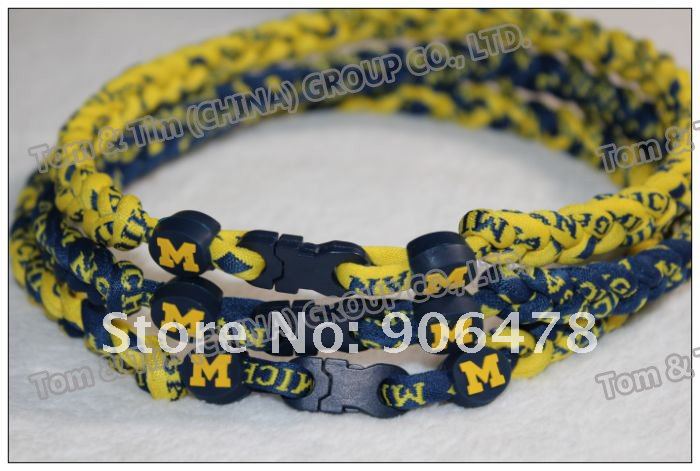 Michigan Wolverines4.jpg