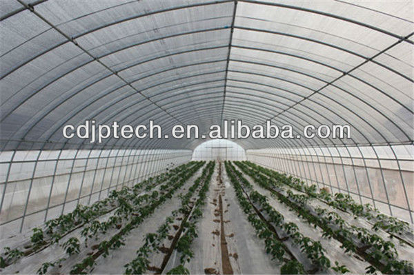 System trading corporation greenhouse