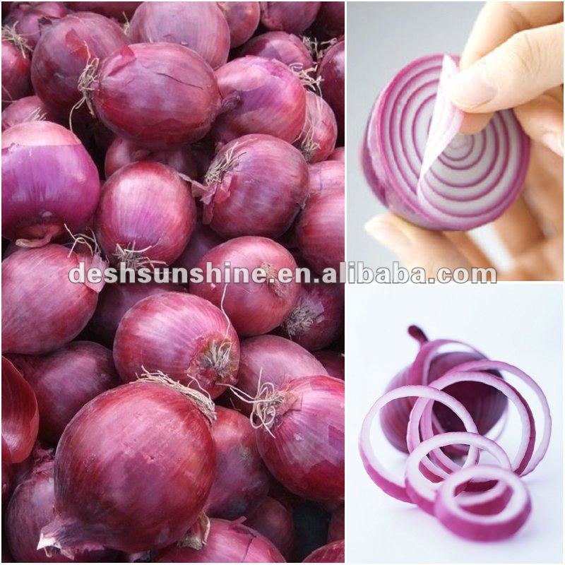 Export 2012 new crop fresh red onion price