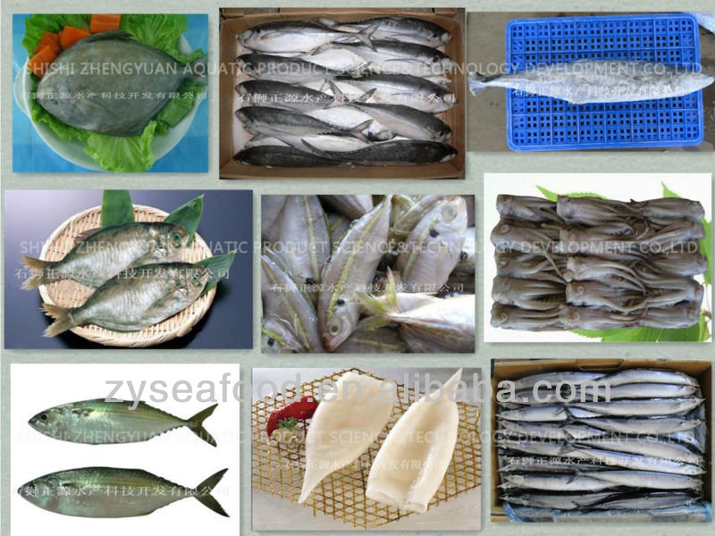 Canned Fish Frozen Bonito Tuna