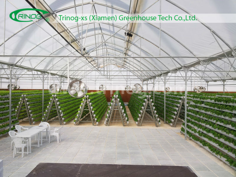 Commercial hydroponic growing systems for sale