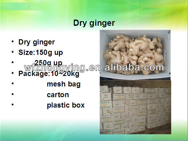 2013 high demand products---base plant come out new corp carrot, fresh carrot,carrot price wiath top quality and standard