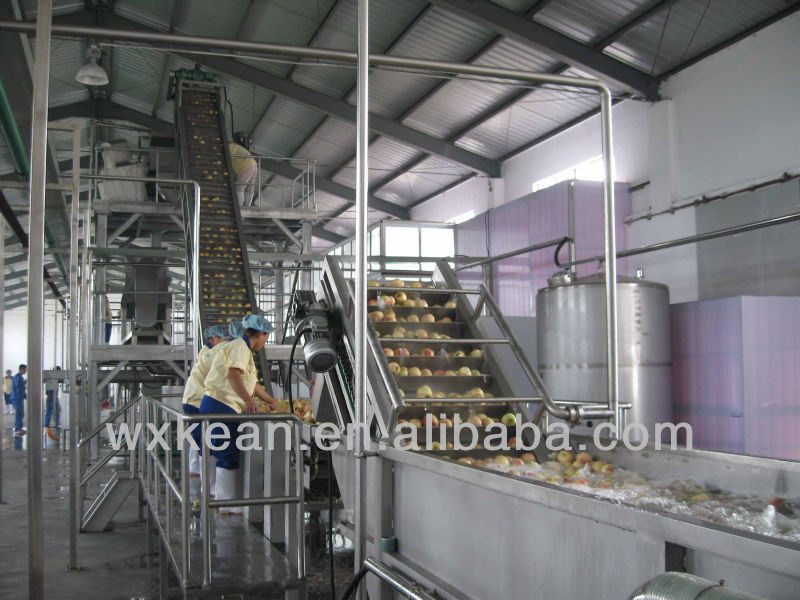 Industrial apple and pear juice production line