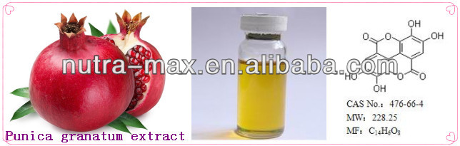 High Quality Punica Granatum Extract Ellagic Acid 20%~90%(CAS NO.:476-66-4)