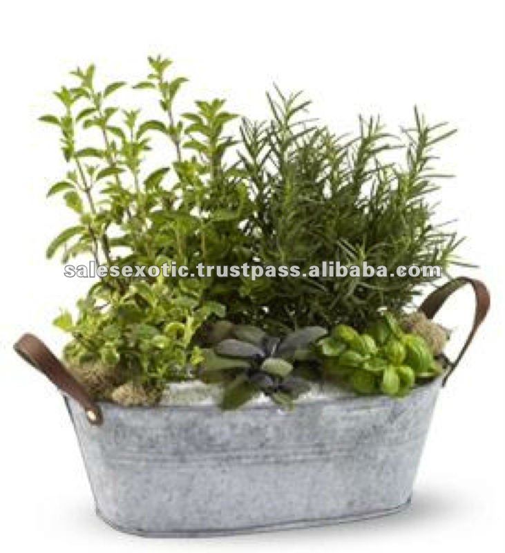  Planter Kit,Container Garden Kits,Herb Growing Kit Product on Alibaba