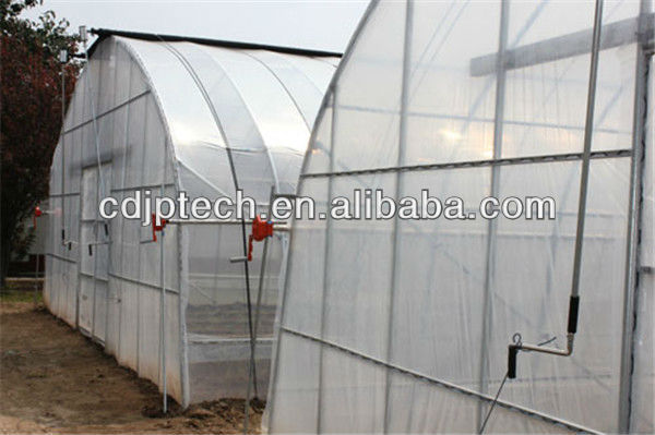 tunnel greenhouse