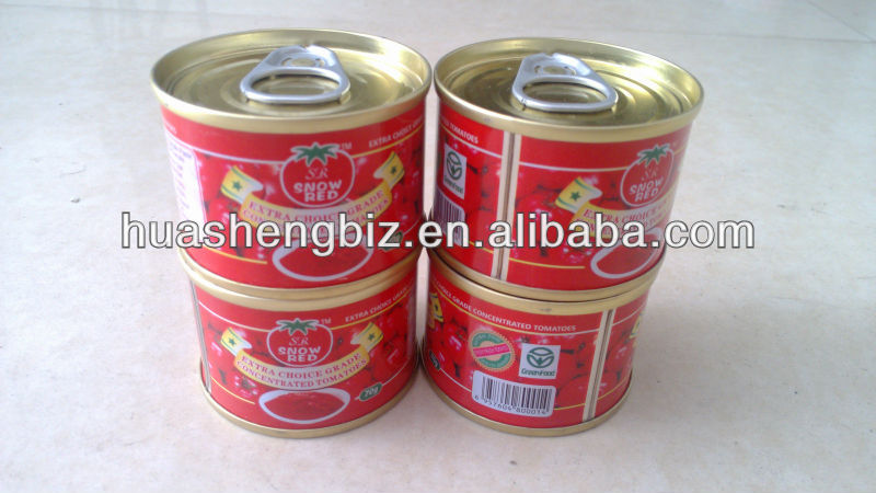 Supplying bulk tomato paste in tin 70g