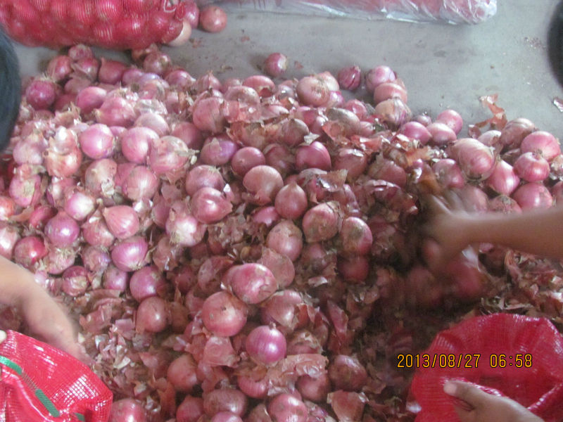 2013 new crop fresh red onion