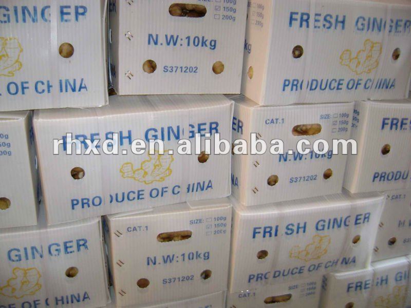 2013 price of fresh ginger