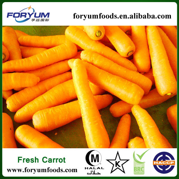 Delicious Frozen Carrot Cubes