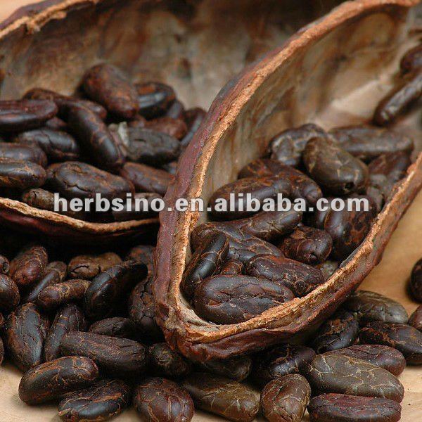 cocoa extract powder