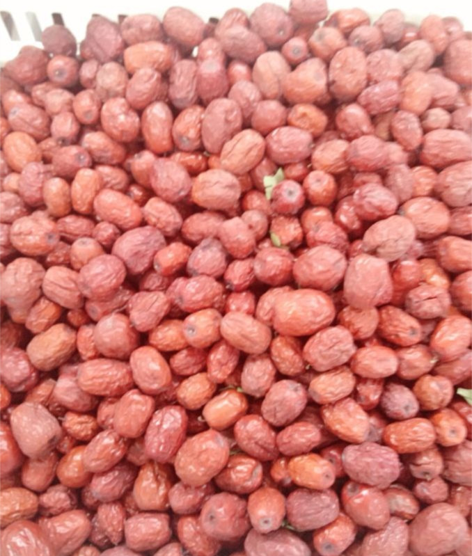 chinese organic red dates health food
