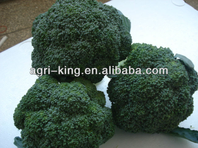 frozen broccoli spear