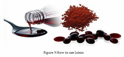 Tagetes Extract super Lutein 5%-90%