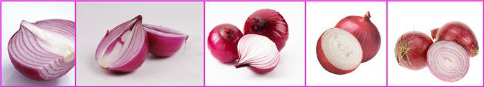 2014 chinese onion specification fresh