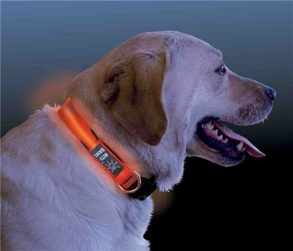 安い卸売犬用品2014年率いる犬の保護用カバー問屋・仕入れ・卸・卸売り