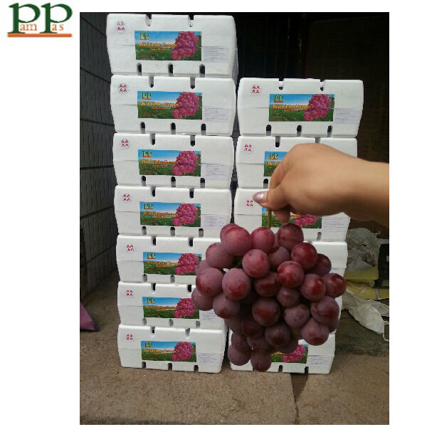 red globe fresh grapes