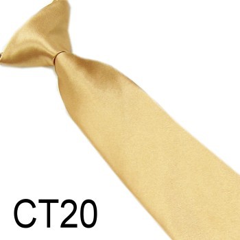 ct20-2.jpg
