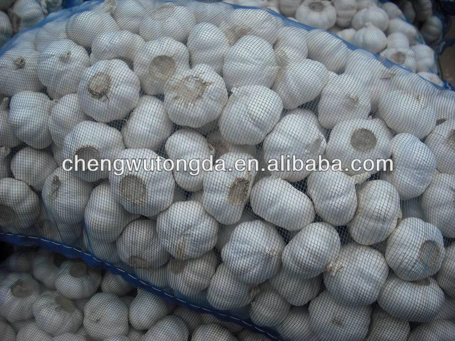 2013 Jinxiang wholesale garlic price garlic import