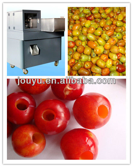 Dates syrup production line