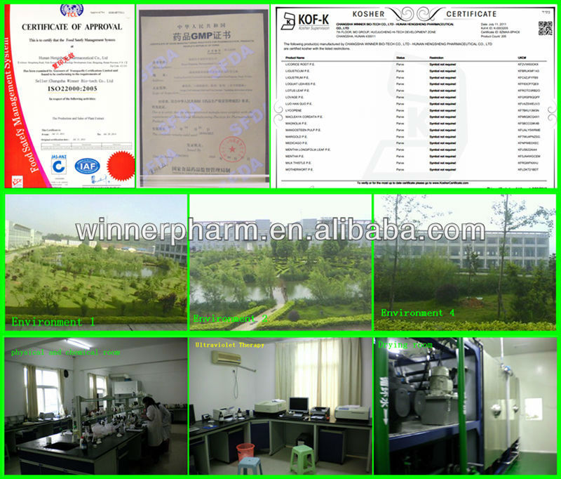 egcg white tea Extract Powder 90% CAS No.: 989-51-5 supplier