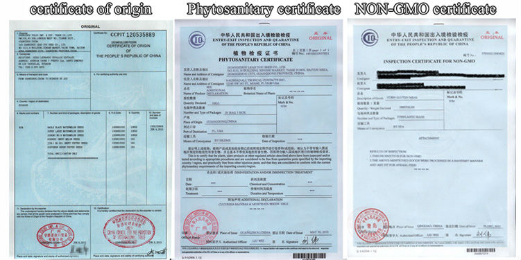 Certificate.jpg