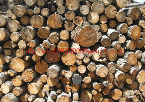 オリーブの木カッター/ミニ爪カッターマシン/ブルガリアで切った薪木仕入れ・メーカー・工場