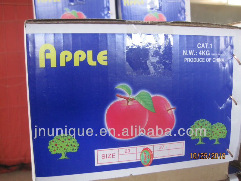 rcustard apple fruit/ed fuji apple,sweet apple fruit/wood apple fruit