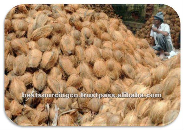 Fresh whole coconuts