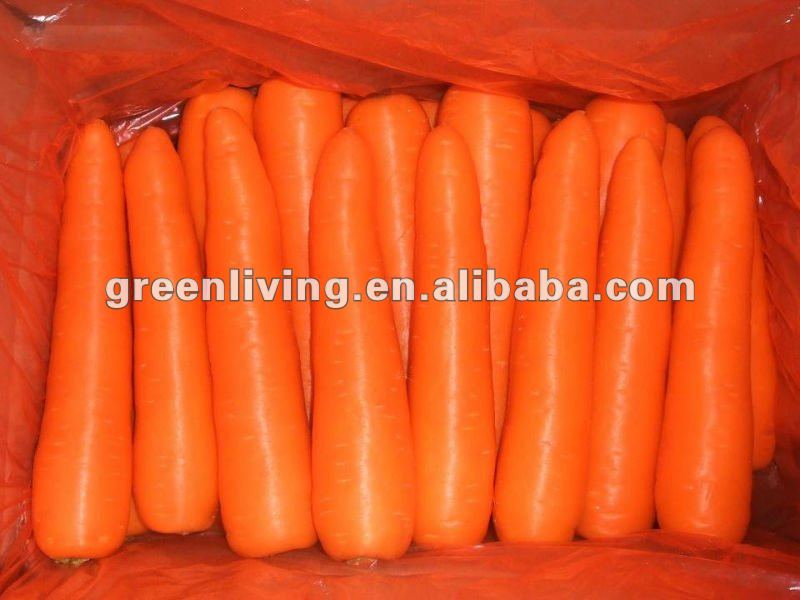 2012 NEW CARROT PRICE