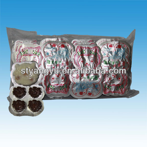 Bear Shape Biscuit with Chocolate