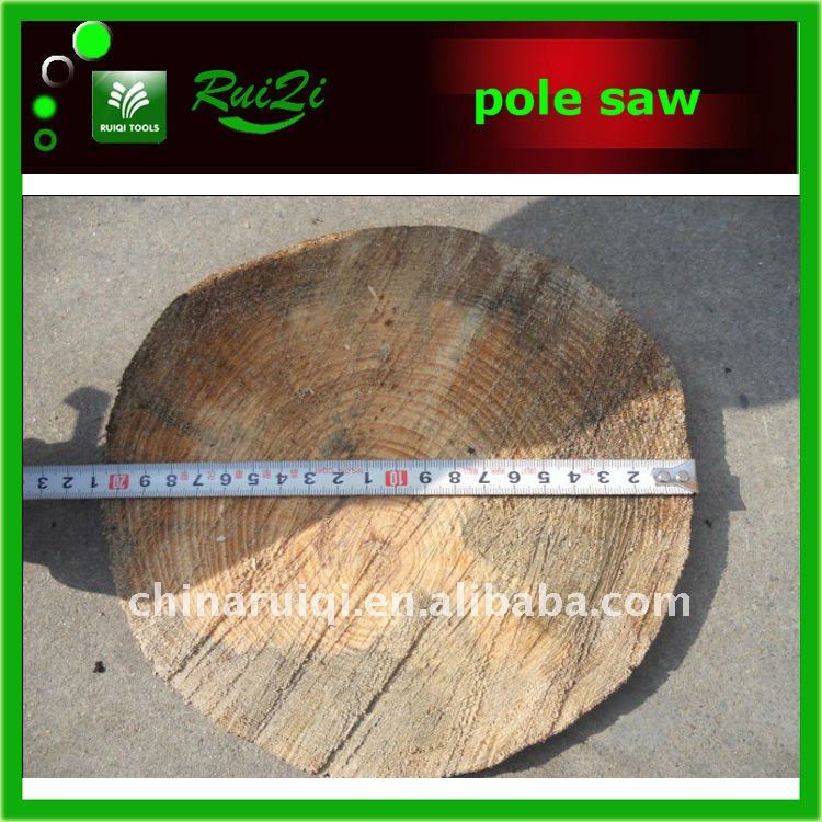 long pole saw7.jpg