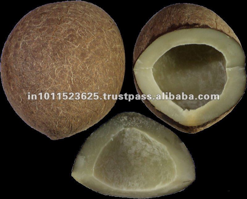 Common Dried Coconut,India Copra price supplier 21food