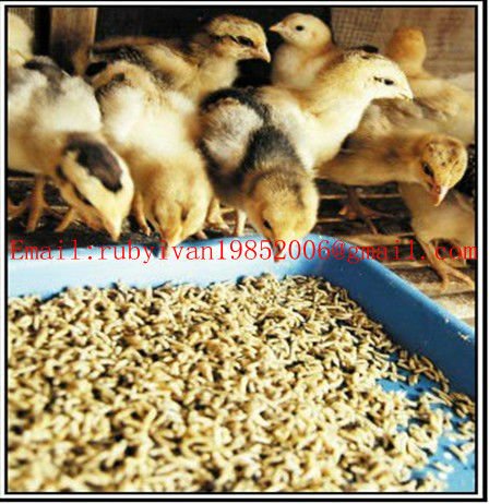 莱州chengdaシリーズ動物飼料ペレット機と木であなたの選択のためのペレットマシン最高のアフターサービスを販売する仕入れ・メーカー・工場