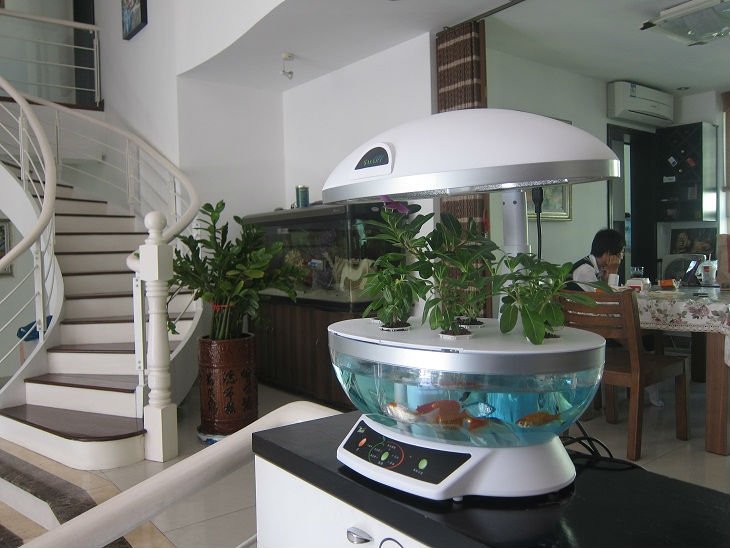 ... STYLE Smart Garden Aquaponics System Hydroponic Agricultural Indoor