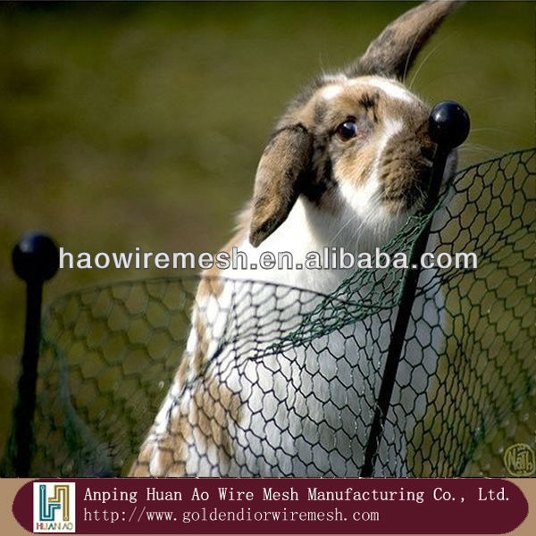 Hexagonal Wire Mesh (Chicken/Rabbit/Poultry Wire Netting)