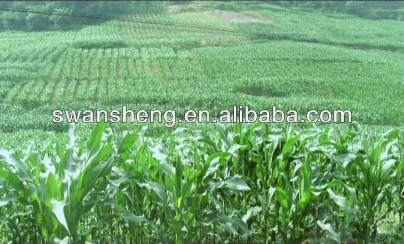 We Are Yellow Maize Corn Exporters Sell 100% Native Maize Starch/Buckwheat Corn Starch Cheap Prices
