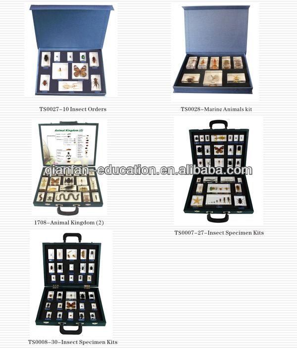 Kits 1.jpg