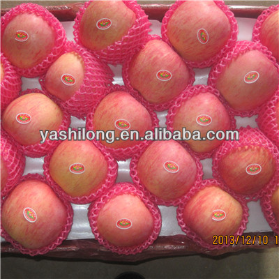 all sizes, high quality,Shandong fresh red fuji apple