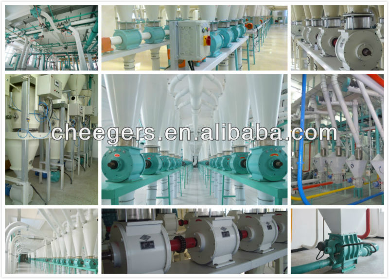 Rotary airlock for flour production line