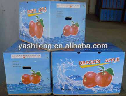 export Red apple in lowest price for buyer who bulk buy from china