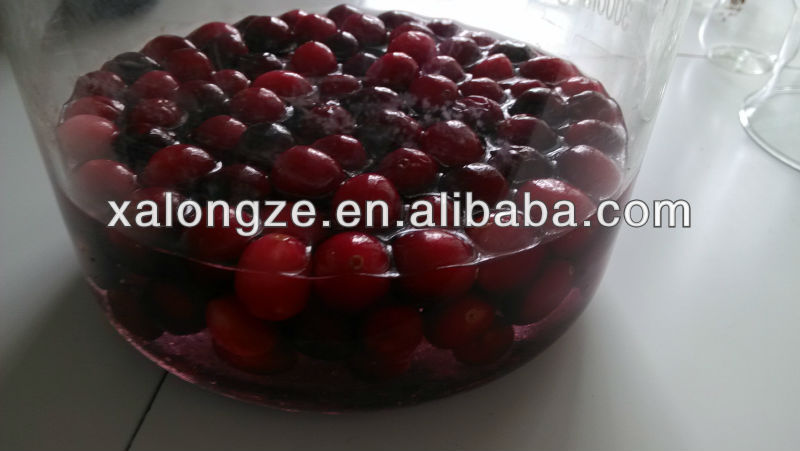 High Quality Cranberry Extract Plant Extract Powder