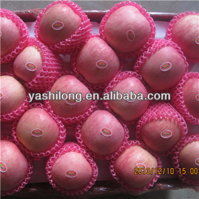 offer red hightest quality of apple fruit with the best price to fruit agents from China