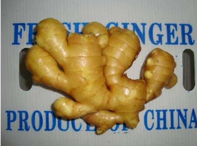 2013 price of fresh ginger