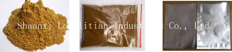China manufacturer 98% piperine black pepper extract powder with factory price